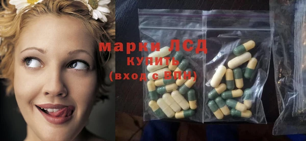 ешки Вяземский