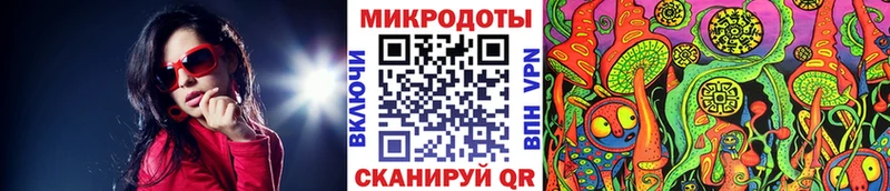 Галлюциногенные грибы Psilocybe  хочу   Олёкминск 